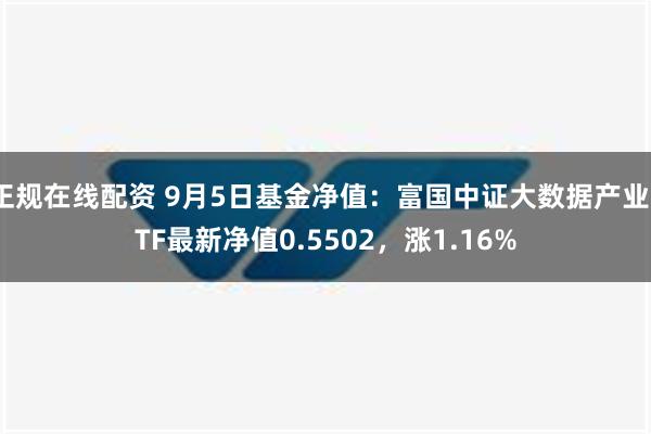 正规在线配资 9月5日基金净值：富国中证大数据产业ETF最新净值0.5502，涨1.16%