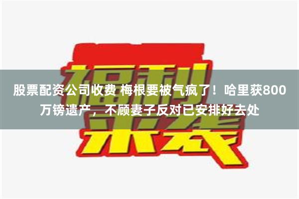 股票配资公司收费 梅根要被气疯了！哈里获800万镑遗产，不顾妻子反对已安排好去处