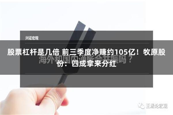 股票杠杆是几倍 前三季度净赚约105亿！牧原股份：四成拿来分红