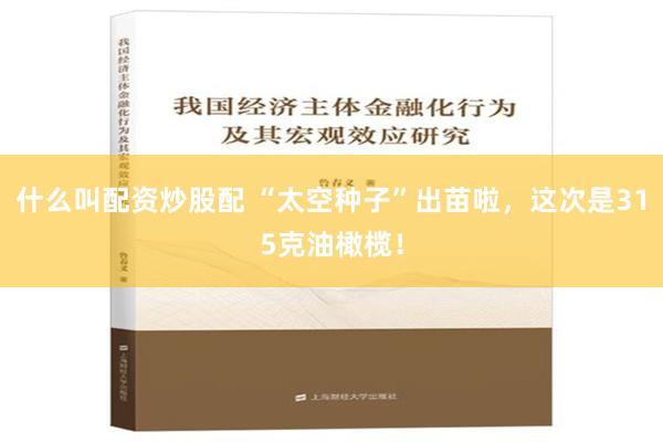 什么叫配资炒股配 “太空种子”出苗啦，这次是315克油橄榄！