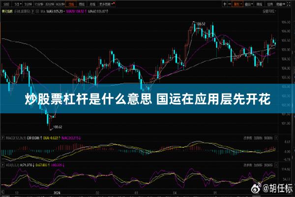 炒股票杠杆是什么意思 国运在应用层先开花